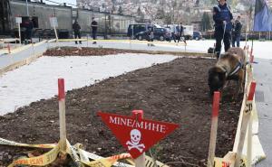 Foto: Dženan Kriještorac / Radiosarajevo.ba / Prezentacija deminera u centru Sarajeva