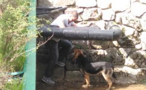 Foto: Dženan Kriještorac / Radiosarajevo.ba / Spašavanje psa iz Koševskog potoka