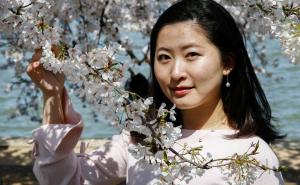 FOTO: AA / Nacionalni festival cvijeta trešnje u Washingtonu