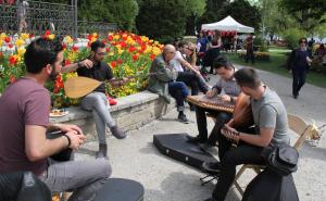 Foto: Anadolija / Festival tulipana u Švicarskoj