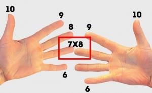 Edukacija /  Slika 5