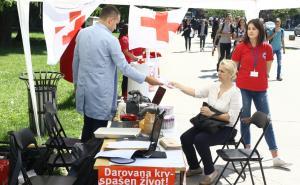 Foto: Dženan Kriještorac / Radiosarajevo.ba / Akcija darivanja krvi povodom Svjetskog dana Crvenog križa 