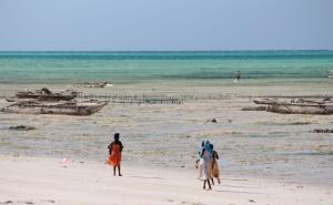 Foto:Amra Šabanović  / Zanzibar oduševljava priropdnim ljepotama