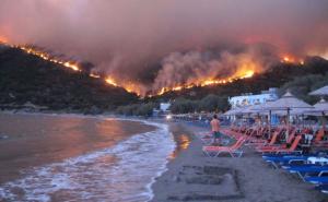 Twitter / U požaru nedaleko od Atine 74 mrtvih