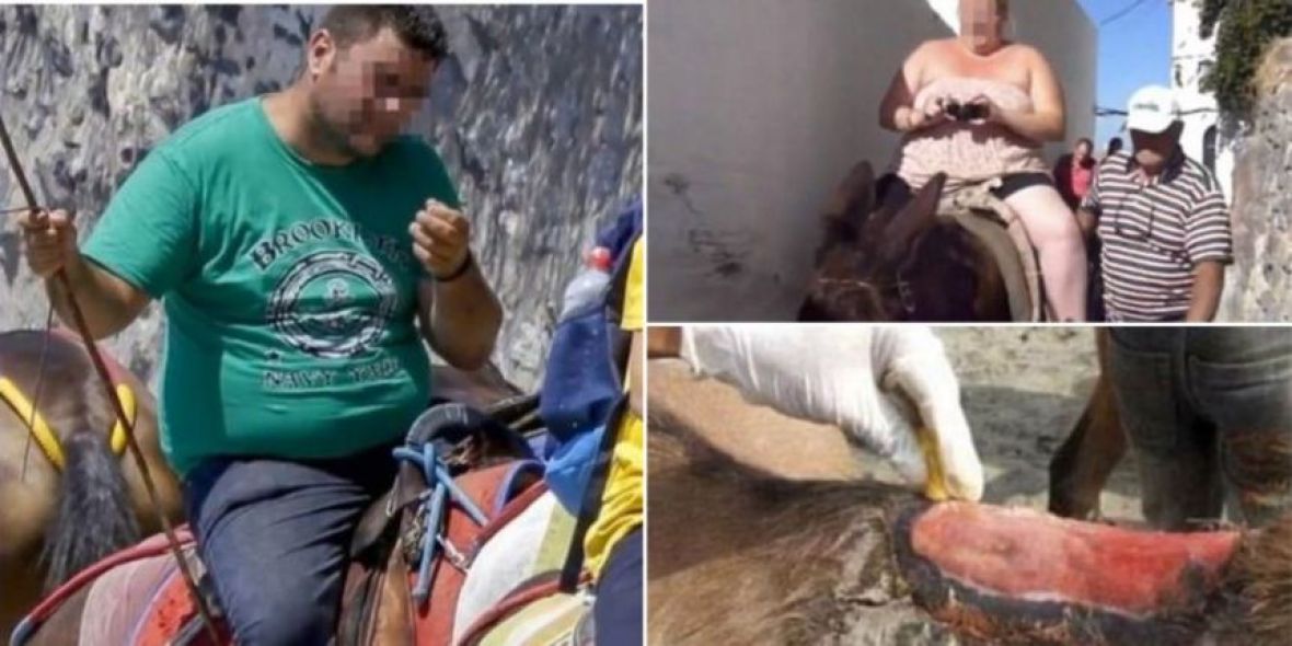 Magarca porno pic