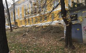 Foto: Radiosarajevo.ba / Posječena stabla na Bistriku