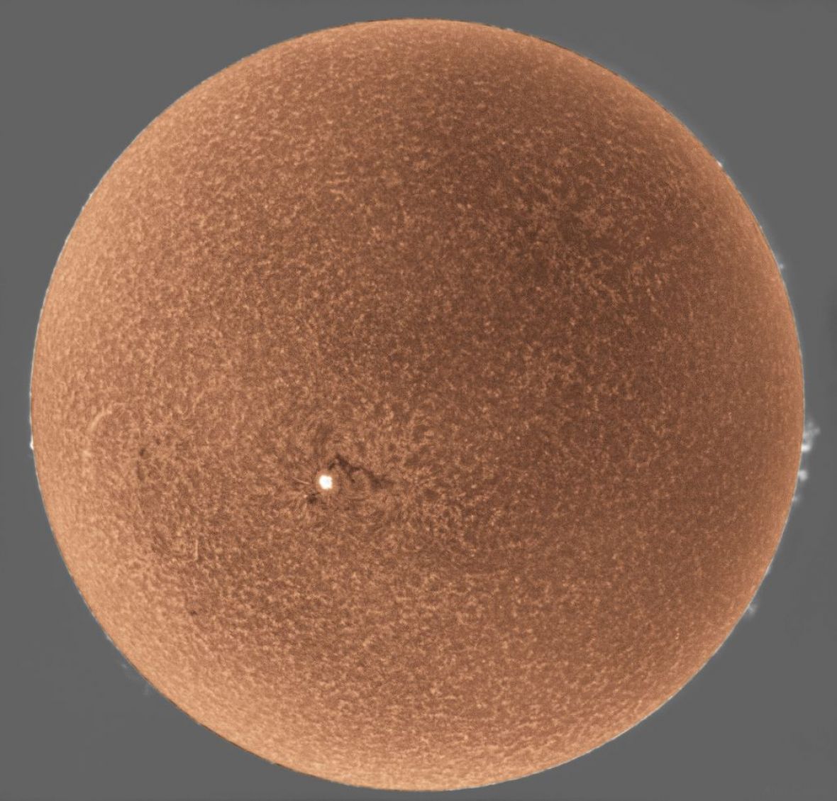 Foto: Alan Ćatović/ Sunce – snimak je napravljen pomoću solarnog teleskopa Lunt LS60, aparatom Canon 650D, uz barlow 2x