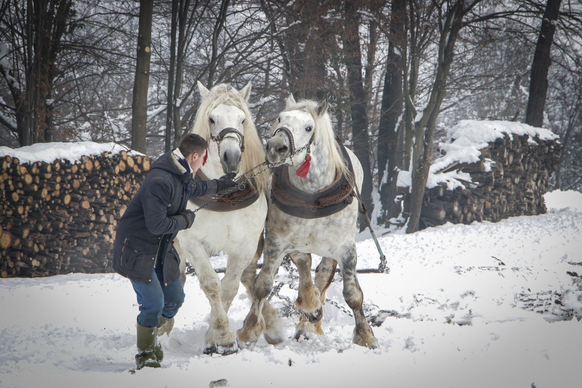 Foto: AA/Mihad IriÅ¡kiÄ iz Prnjavora ranÄ "Zelena dolina" osnovao je prije 36 godina