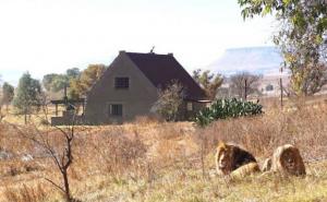 Foto: Instagram / U ovoj kućici možete živjeti kao pravi kralj lavova