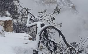 Foto: Twitter / Snježna idila u Velikom kanjonu