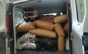Foto: Radiosarajevo.ba / U Gacku zaplijenjeno oko 240 kilograma opojne droge skank!