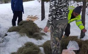 FOTO: Facebook / Lovci iz sekcije “Vidoši” pomažu životinjama da prežive oštru zimu