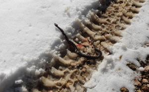 Foto: Facebook / Poskok u snijegu na Komaru