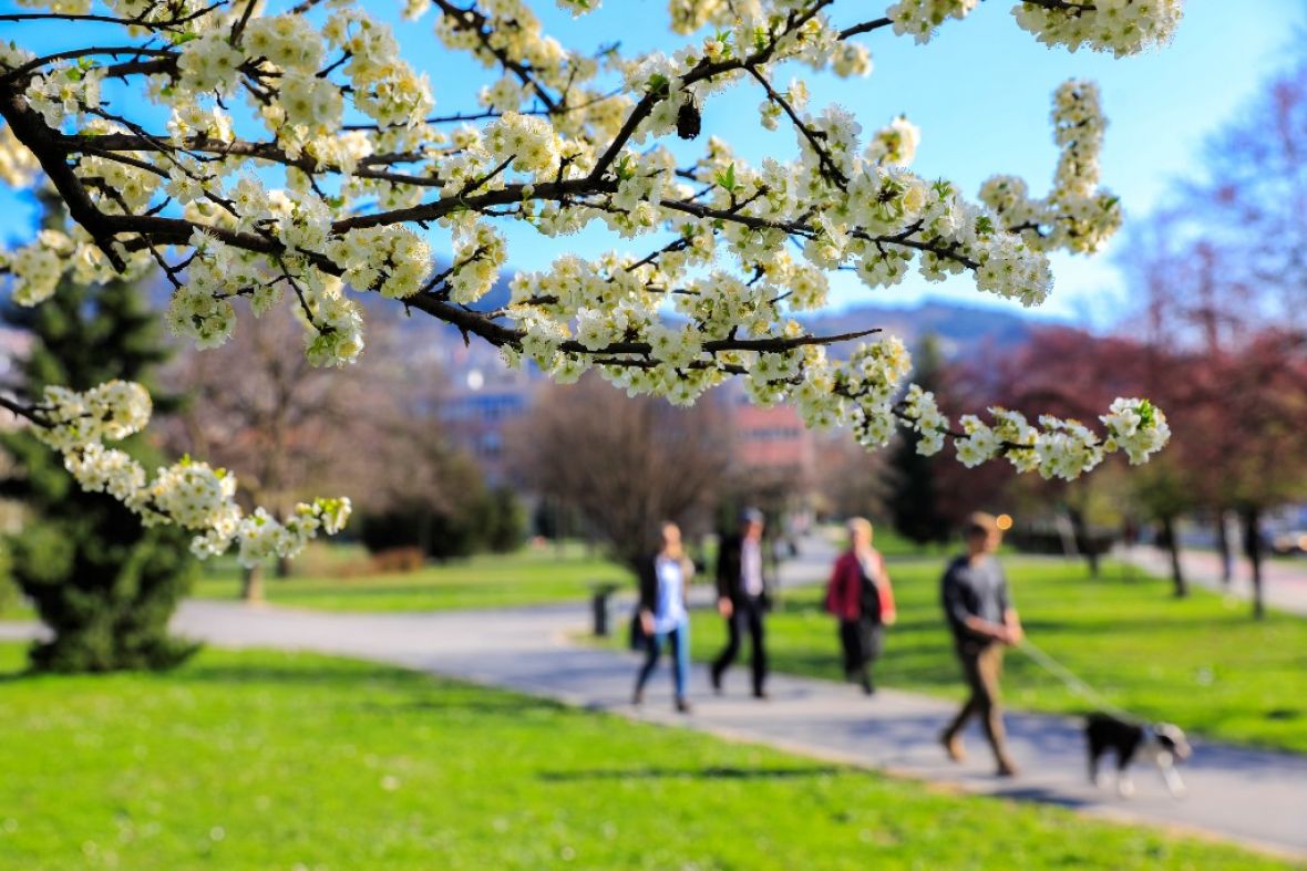 Još malo strpljenja: Krajinović najavio toplije dane i temperature do 20 stepeni! 