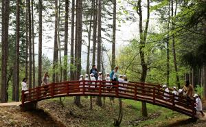 Foto: AA / Park šume prijateljstva na Grdonju