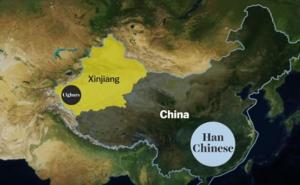 Foto: Screenshot / U regiji Xinjiang, prema tvrdnjama SAD-a, Kinezi su zarobili u logorima oko dva miliona muslimana