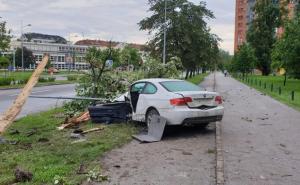 Foto: NS Uživo / BMW prepolovio banderu, pa drvo: Puklo je kao bomba