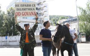 Foto: Dženan Kriještorac / Radiosarajevo.ba / Aktivisti ispred OHR-a potkovali konja Milana 