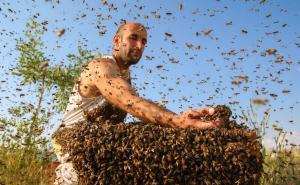 FOTO: AA / Abdulvahab Semo, pčelar iz grada Van, na krajnjem istoku Turske