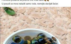 Printscreen / Forwardusha / Sabit Iztarčina pozvao građane BiH: Spasite pčele, evo i kako