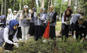 Anadolija / Sarajevo: 251 stablo u znak sjećanja na šehide poginule u pokušaju puča u Turskoj