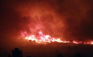 Foto: Duško Jaramaz/PIXSELL / Požar kod mjesta Bilice