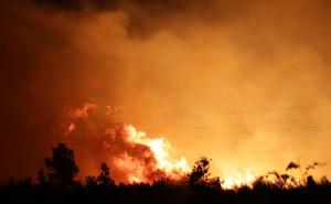 Foto: Duško Jaramaz/PIXSELL / Požar kod mjesta Bilice