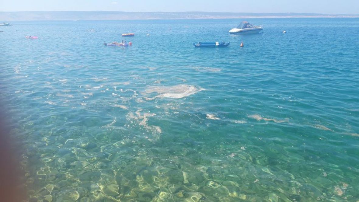 FOTO: 24sata.hr/Fekalijama onečišćeno more u Hrvatskoj