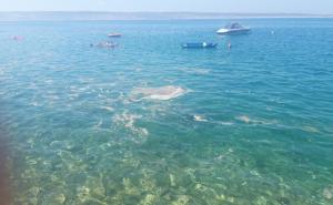 FOTO: 24sata.hr / Fekalijama onečišćeno more u Hrvatskoj