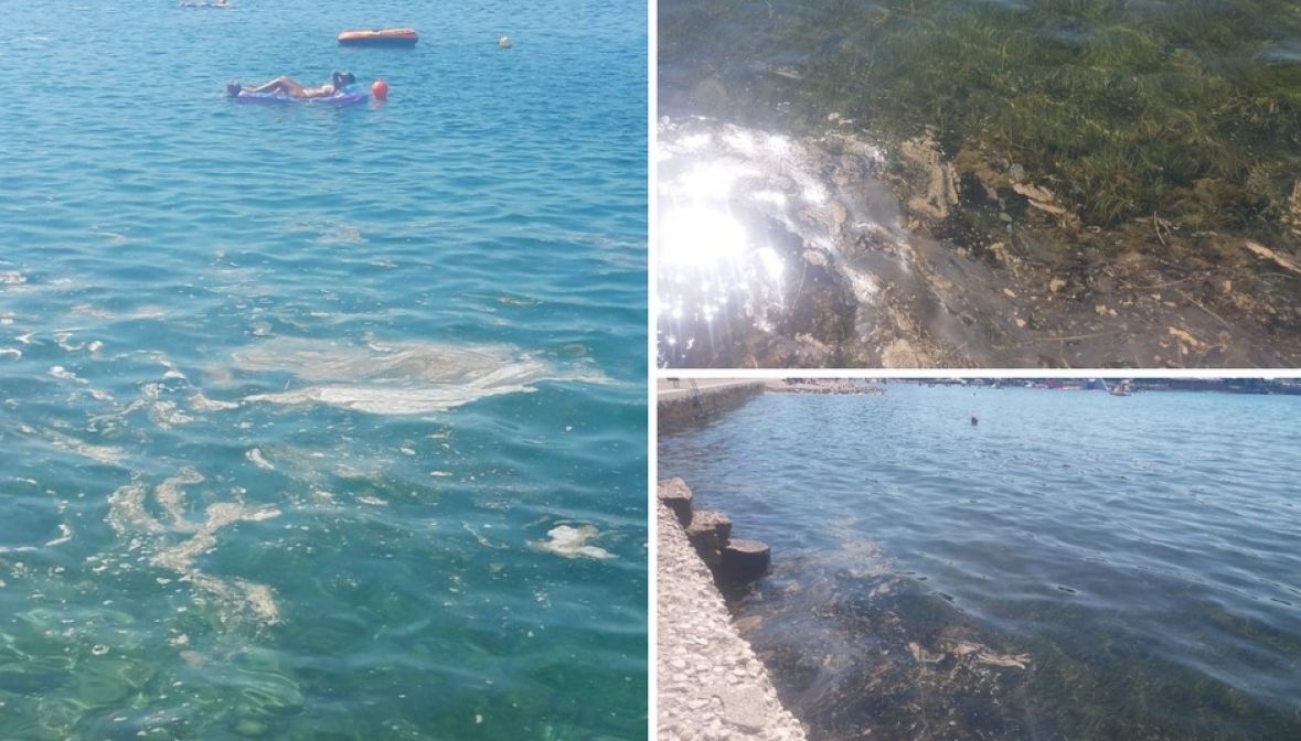 FOTO: 24sata.hr/Fekalijama onečišćeno more u Hrvatskoj