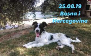 Facebook / Ljubav bez granica: Ostavljeni pas na plaži u Dobrim Vodama ima nove vlasnike
