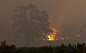 Foto: EPA-EFE/Radiosarajevo.ba  / Požari u Kaliforniji