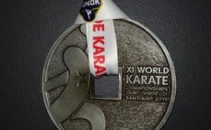 Foto: Privatni album / Hamza Turulja u Čilea osvojio drugo mjesto na Svjetskom karate prvenstvu