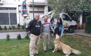 Foto: Facebook / Ekipa KJKP Park Sarajevo spasila psa u Sarajevu
