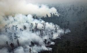 Foto: EPA-EFE/Radiosarajevo.ba  / Požari u Borneu