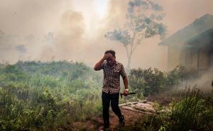 Foto: EPA-EFE/Radiosarajevo.ba  / Požari u Borneu