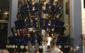 Foto: Instagram / Božićno drvo od vinskih flaša