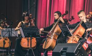 Foto: Cellos on the stage / Cellos on the stage