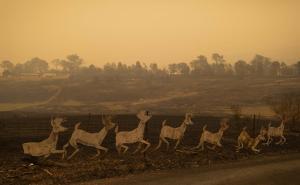 Foto: EPA-EFE/Radiosarajevo.ba  / Požar u Australiji