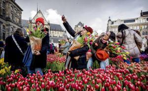 Foto: EPA-EFE/Radiosarajevo.ba  / U Holandiji obilježen nacionalni dan lala
