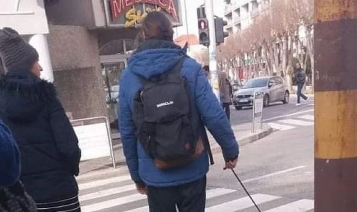 Sjajna slika maca