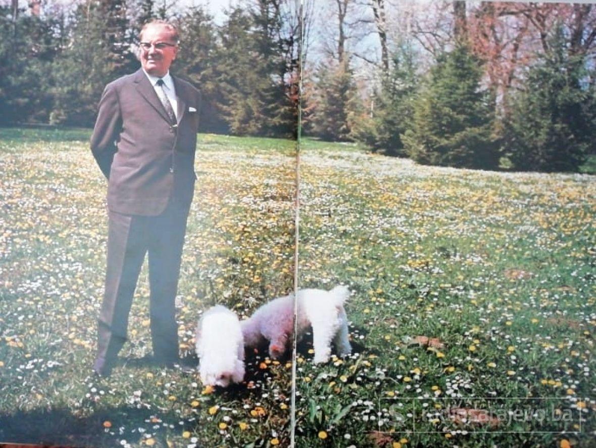 Foto: Tito ilustrovana biografija/Tito i psi, 1972.
