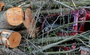 Foto: EPA-EFE / Oluja Ciara i nevrijeme u Europi