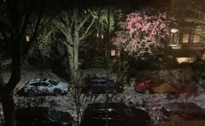 Facebook / Grupa "View from my window" - Brooklyn