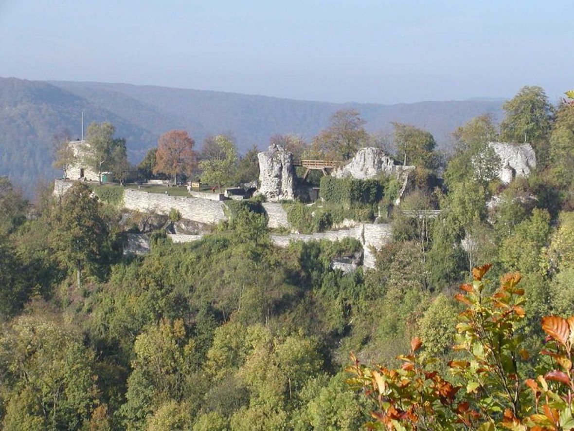 Dvorac Buhringen - undefined