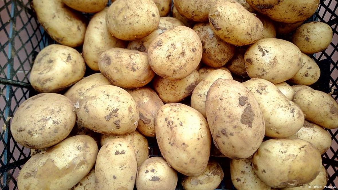 Nevesinjski krompir - undefined