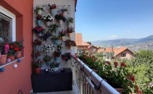 Foto: Općina Stari Grad / Najljepši balkoni i avlije u Starom Gradu