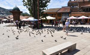 Foto: A. K. /Radiosarajevo.ba / Sarajevo danas