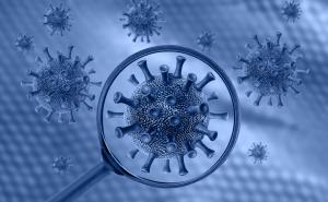 Foto: Shutterstock / Koronavirus i gripa