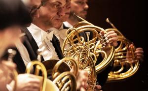 oficijelna fotografija / Bečka filharmonija